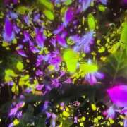 ヒメ日記 2025/07/23 20:36 投稿 岡崎 熟女の風俗最終章 新横浜店