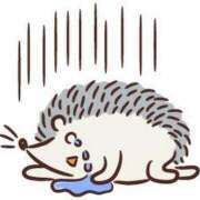 ヒメ日記 2025/08/11 09:23 投稿 岡崎 熟女の風俗最終章 新横浜店