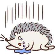 岡崎 今月も 熟女の風俗最終章 新横浜店