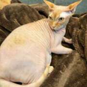 もも ラスト本指様💓 千葉女学園