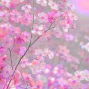 ヒメ日記 2026/02/26 20:53 投稿 さゆみ アイスキャンディーラブ