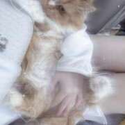 ヒメ日記 2025/08/08 20:23 投稿 きあ コスプレアカデミー