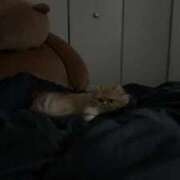 きあ ごめんなさい💦 コスプレアカデミー