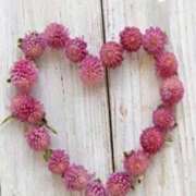 ヒメ日記 2025/07/31 13:10 投稿 こはく アイスキャンディーラブ