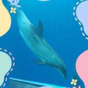 ヒメ日記 2025/04/11 16:01 投稿 さつき 進撃の妻