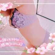 ヒメ日記 2025/04/21 23:10 投稿 亜紀(あき) DAHLIA(ダリア)