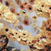 ヒメ日記 2025/07/18 00:02 投稿 さやか アイムシェイク