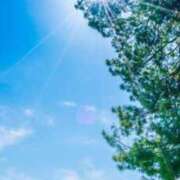 ヒメ日記 2025/07/23 23:14 投稿 さやか アイムシェイク