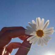 ヒメ日記 2025/08/01 17:33 投稿 さやか アイムシェイク