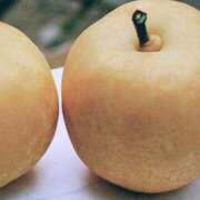 ヒメ日記 2025/08/22 10:35 投稿 さやか アイムシェイク