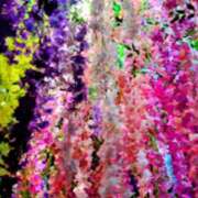 ヒメ日記 2025/11/13 20:41 投稿 さやか アイムシェイク