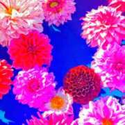 ヒメ日記 2025/12/02 11:01 投稿 さやか アイムシェイク