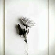 ヒメ日記 2026/02/11 19:15 投稿 さやか アイムシェイク