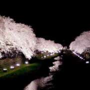 ヒメ日記 2026/04/04 18:57 投稿 さやか アイムシェイク