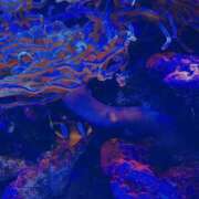 ヒメ日記 2025/02/11 15:20 投稿 つむぎ 奥鉄オクテツ神奈川店（デリヘル市場グループ）