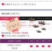 ヒメ日記 2025/02/20 13:40 投稿 つむぎ 奥鉄オクテツ神奈川店（デリヘル市場グループ）