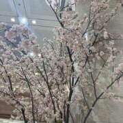 ヒメ日記 2025/03/09 12:00 投稿 つむぎ 奥鉄オクテツ神奈川店（デリヘル市場グループ）