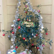 ヒメ日記 2025/12/20 12:15 投稿 つむぎ 奥鉄オクテツ神奈川店（デリヘル市場グループ）