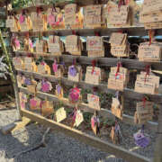 ヒメ日記 2026/01/21 15:05 投稿 つむぎ 奥鉄オクテツ神奈川店（デリヘル市場グループ）