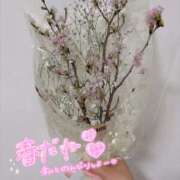 ヒメ日記 2026/03/07 10:35 投稿 つむぎ 奥鉄オクテツ神奈川店（デリヘル市場グループ）