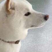 ヒメ日記 2025/01/09 18:41 投稿 まりほ 熟女の風俗最終章 蒲田店