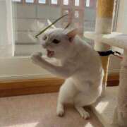 ヒメ日記 2025/02/19 07:36 投稿 まりほ 熟女の風俗最終章 蒲田店