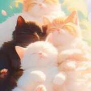 ヒメ日記 2025/03/12 09:50 投稿 まりほ 熟女の風俗最終章 蒲田店