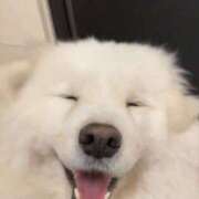 ヒメ日記 2025/04/01 11:25 投稿 まりほ 熟女の風俗最終章 蒲田店