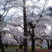 ヒメ日記 2025/04/03 09:27 投稿 まりほ 熟女の風俗最終章 蒲田店