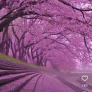 ヒメ日記 2025/04/07 11:55 投稿 まりほ 熟女の風俗最終章 蒲田店