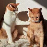 ヒメ日記 2025/04/16 10:55 投稿 まりほ 熟女の風俗最終章 蒲田店