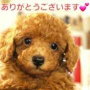 ヒメ日記 2025/04/18 17:52 投稿 まりほ 熟女の風俗最終章 蒲田店