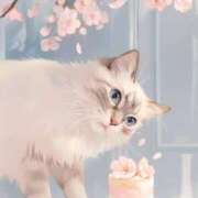 ヒメ日記 2025/04/19 14:28 投稿 まりほ 熟女の風俗最終章 蒲田店