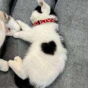 ヒメ日記 2025/04/26 13:53 投稿 まりほ 熟女の風俗最終章 蒲田店