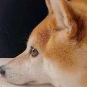 ヒメ日記 2025/05/05 12:20 投稿 まりほ 熟女の風俗最終章 蒲田店