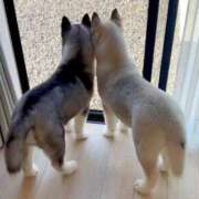 ヒメ日記 2025/06/01 09:30 投稿 まりほ 熟女の風俗最終章 蒲田店