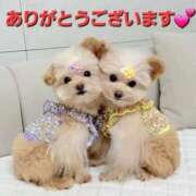 ヒメ日記 2026/03/04 20:30 投稿 まりほ 熟女の風俗最終章 蒲田店