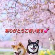 ヒメ日記 2026/04/13 17:30 投稿 まりほ 熟女の風俗最終章 蒲田店