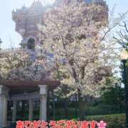 ヒメ日記 2026/04/14 00:50 投稿 まりほ 熟女の風俗最終章 蒲田店