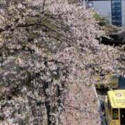 ヒメ日記 2025/04/14 17:35 投稿 ゆうみ 東京人妻セレブリティ（ユメオト）