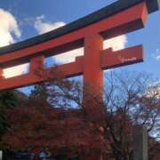 ヒメ日記 2025/11/26 09:42 投稿 ゆうみ 東京人妻セレブリティ（ユメオト）