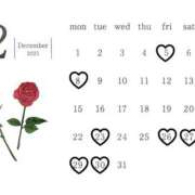 ゆうみ 12月の予定 東京人妻セレブリティ（ユメオト）