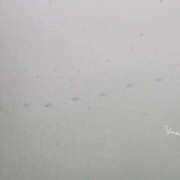 ヒメ日記 2026/02/09 10:55 投稿 ゆうみ 東京人妻セレブリティ（ユメオト）