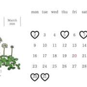 ヒメ日記 2026/02/22 17:17 投稿 ゆうみ 東京人妻セレブリティ（ユメオト）