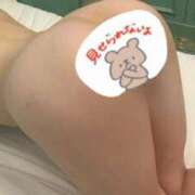 ヒメ日記 2025/02/06 04:00 投稿 冴島　ゆらは エテルナ京都