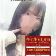 ヒメ日記 2025/02/04 06:52 投稿 ひかり お姉京都