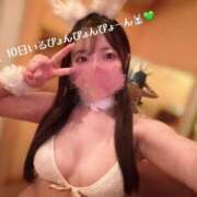 ヒメ日記 2025/03/08 07:32 投稿 ひかり お姉京都