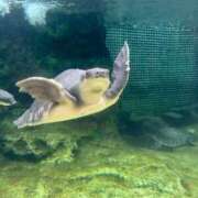 ヒメ日記 2025/06/03 11:02 投稿 ひかり お姉京都