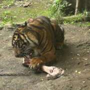 ヒメ日記 2025/06/05 07:22 投稿 ひかり お姉京都