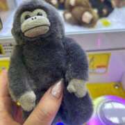 ヒメ日記 2025/06/26 04:42 投稿 ひかり お姉京都